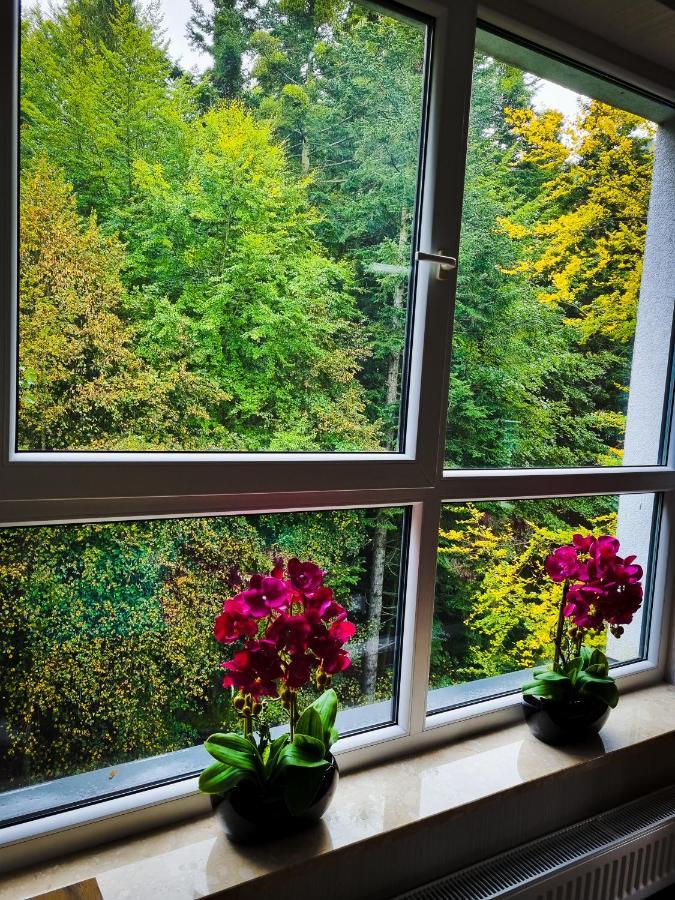 Apartament Kurort Kozubnik Wilcza Wataha Porąbka Eksteriør bilde